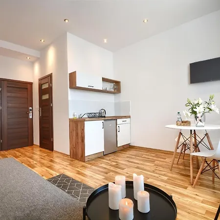Apartamenty Centrum Zameldowanie 24H Katovice Exteriér fotografie